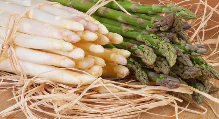 sparga-asparagus