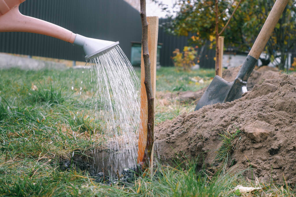 gyumolcsfak-tavaszi-ultetese