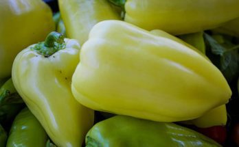 feher-paprika-tv-paprika