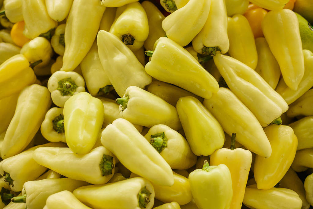 feher-paprika-tv-paprika feher-paprika-tv-paprika